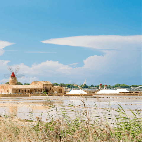 Visit the salt pans of Saline of the Laguna Marsala, a thirty-minute drive from your home