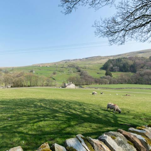 Head out on a yomp through Arkengarthdale, right on your doorstep