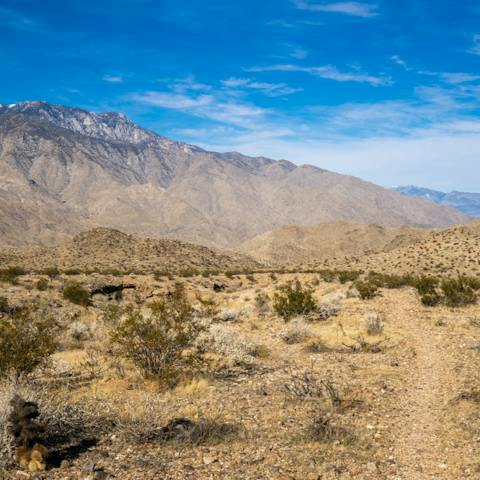 Drive fifteen minutes to hike the beautiful Indian Canyons