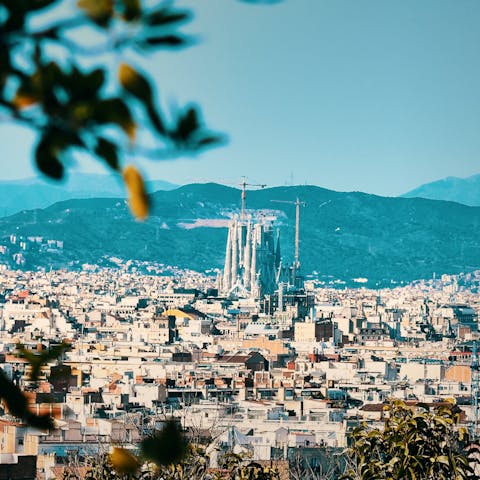 Experience the magic of Barcelona from the heart of the city 