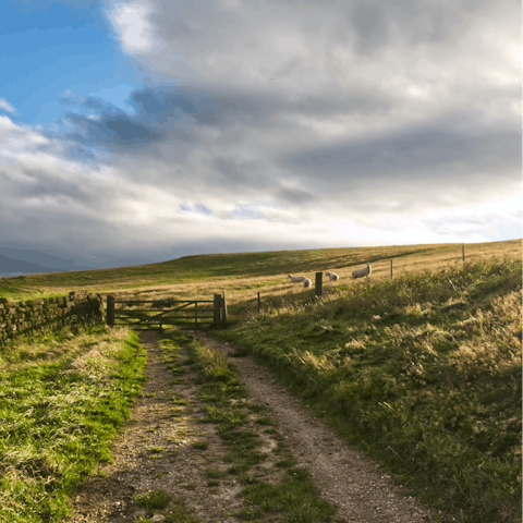 Lace up your hiking boots and explore the North Yorkshire Moors and Howardian Hills