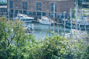 Coastal Splendour image 5