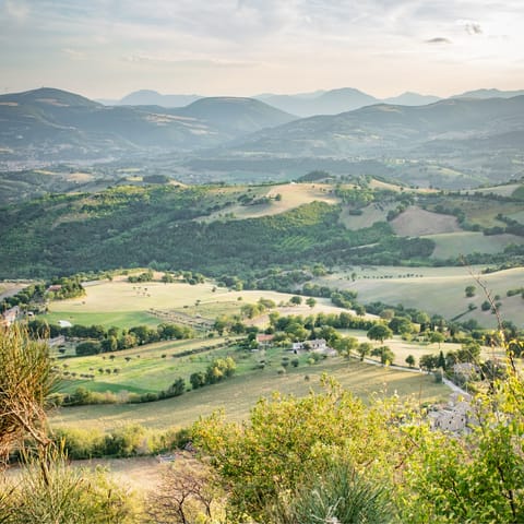 Visit the vineyards and hilltop towns of Le Marche