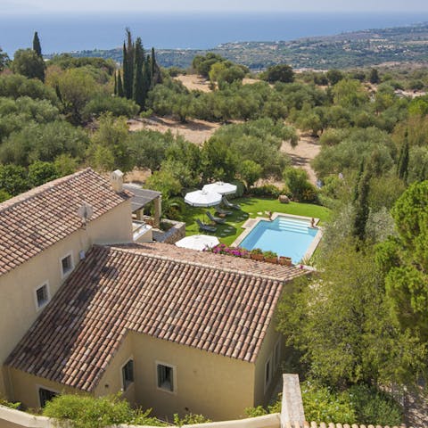 The villa's setting amongst olive trees and the distant sea