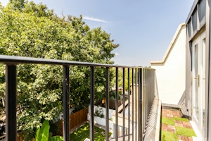 Tropical Chiswick image 15