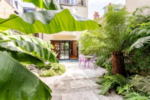 Tropical Chiswick image 11