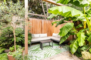 Tropical Chiswick image 4