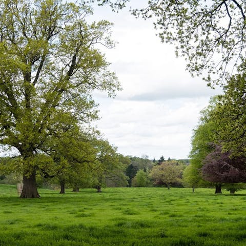 Go for an invigorating stroll around the surrounding five-hundred-acre Peatswood Estate