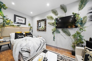 Tropical Canopy image 8