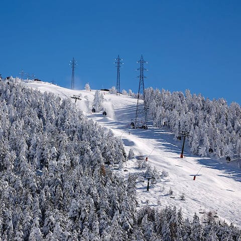 Savour the views of pine topped mountains and snow covered peaks