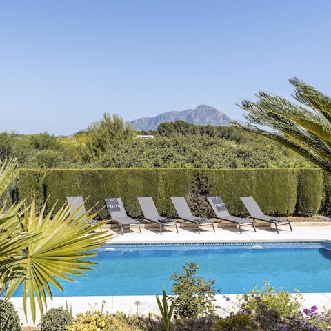 Take a morning dip in the pool to the rustle of palm fronds