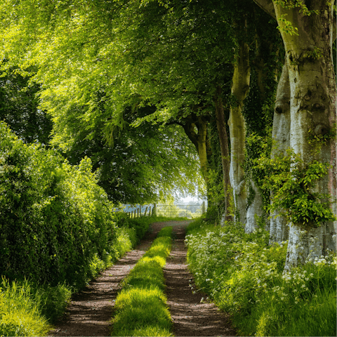 Explore the walking paths in and around Magherafelt