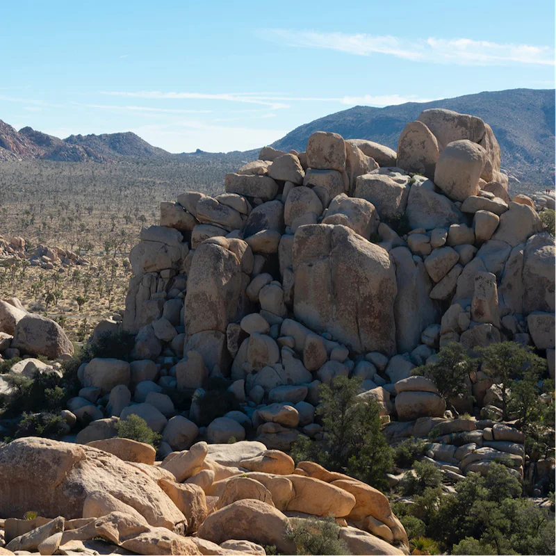 Head to the stunning landscapes of Joshua Tree National Park in just thirty minutes