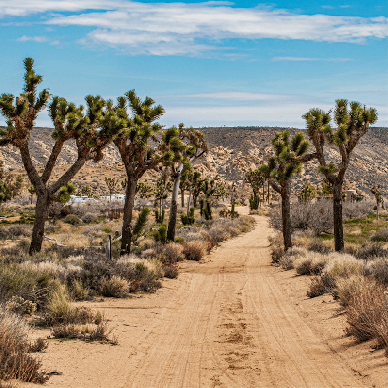 Explore Joshua Tree National Park – the visitor centre is just a five-minute drive away