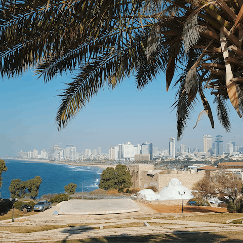 Immerse yourself in the magic of coastal living from Tel Aviv