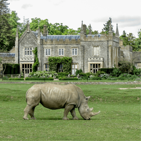 Enjoy family fun at the Cotswold Wildlife Park 