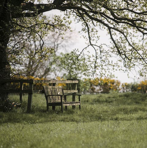 Find a quiet spot on the grounds for a moment of contemplation