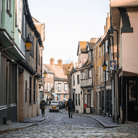 Spend the day on the cobbled lanes of Norwich city centre, minutes away