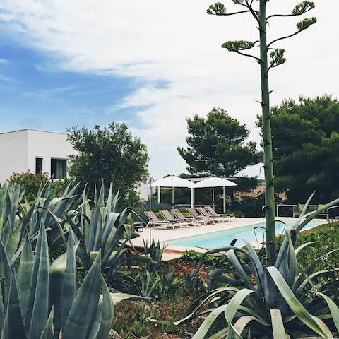 Take a stroll around the garden to discover the variety of plants
