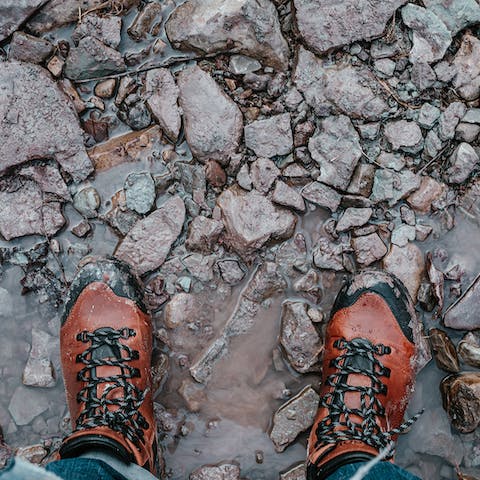 Strap on your hiking boots and go for a walk through the woods