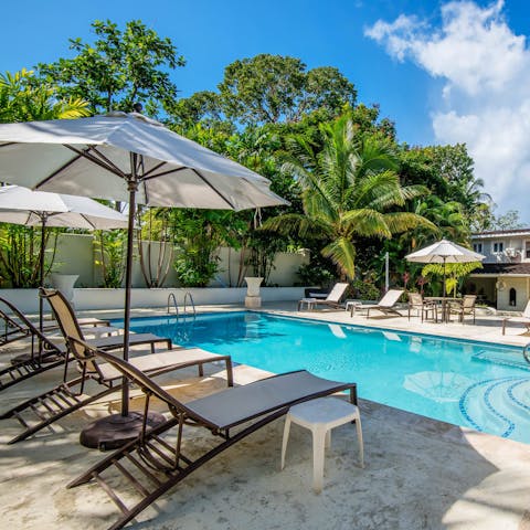 Soak up the Caribbean sun from the poolside loungers