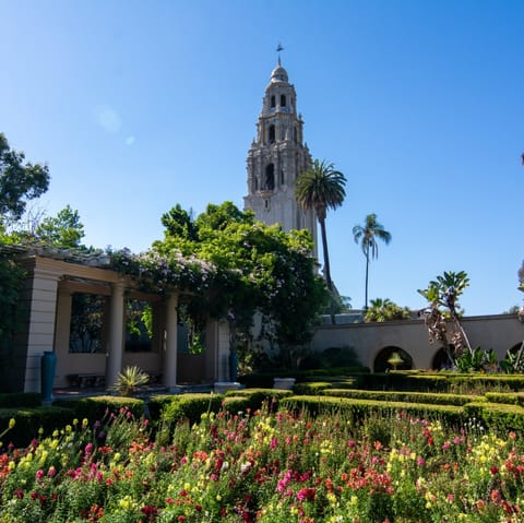 Wander over to Balboa Park in less than fifteen minutes and get lost among the sprawling greenery