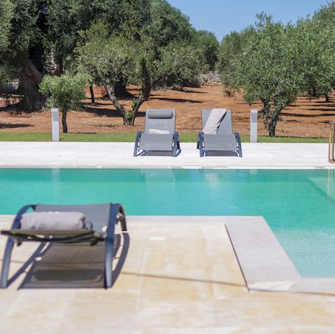 Splash about in the home's swimming pool overlooked by an olive grove