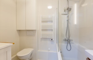 The Paris Mover image 7