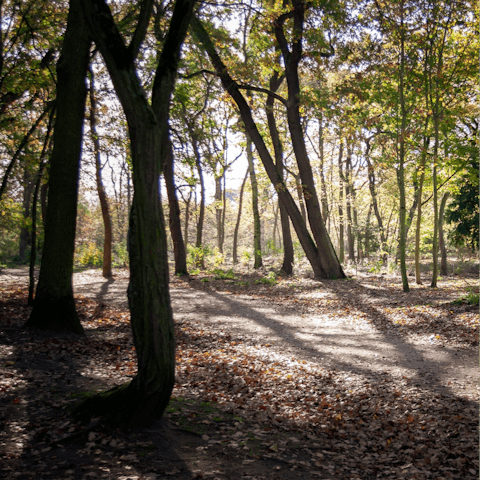 Explore nearby Bois de Boulogne on foot or by bike