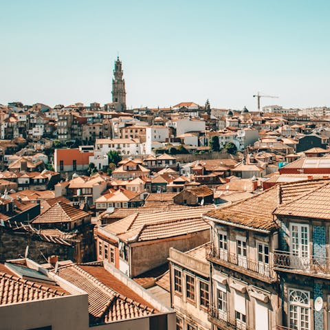 Explore everything downtown Porto has to offer