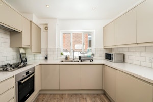 Chelsea Shine image 11