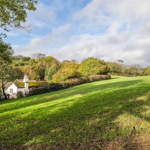 Take leisurely strolls across the three acres of gardens