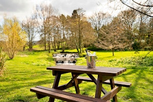 Yorkshire Strolls image 9