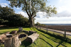 Lavish Retreat image 9