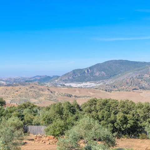 Savour your unspoiled surroundings in the Sierra de Cádiz, not far from El Gastor