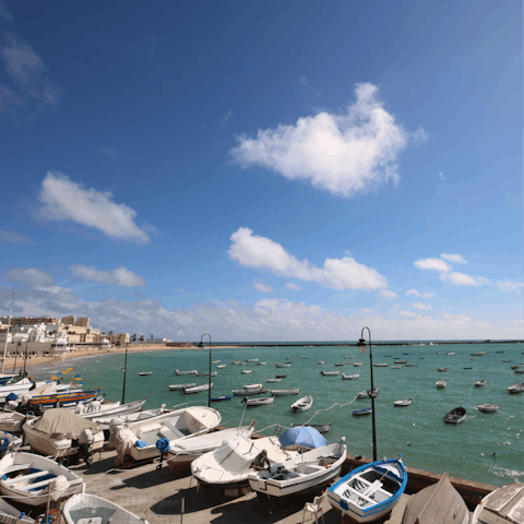 Visit the beautiful Cadiz port