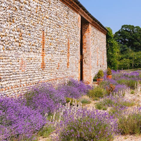 Enjoy the wafting scent of lavender from the lush garden