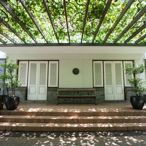 Get some shade on the vine covered patio