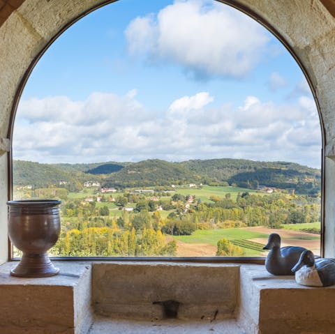Gaze out across the Dordogne countryside from your elevated spot