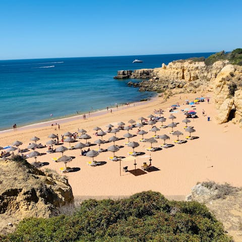Spend a day on the gorgeous Algarve coast with a direct bus from home