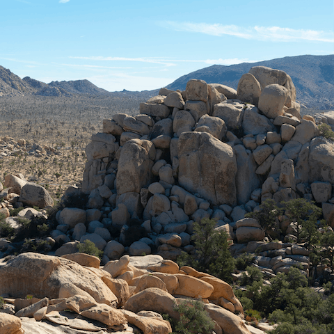 Fifteen minutes to the entrance to Joshua Tree National Park