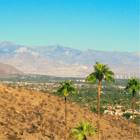 Treat yourself to a relaxing and restorative stay in Palm Springs
