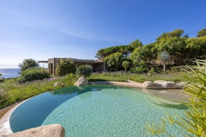 Golden Coastline Retreat image 6