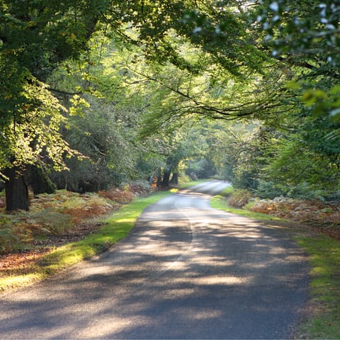 Take a scenic drive through the New Forest to Avon Beach. twenty-five minutes away