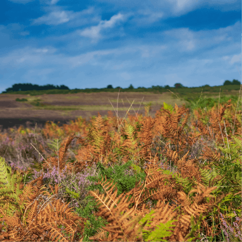 Explore East Sussex and the Ashdown Forest – your home is a six-minute drive from Forest Row and thirteen from East Grinstead