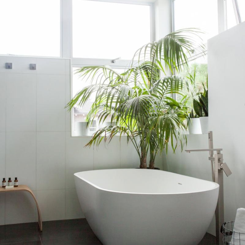 Beautiful foliage around the free-standing tub