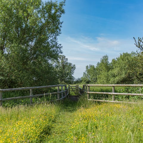 Follow trails in the meadows that surround your home