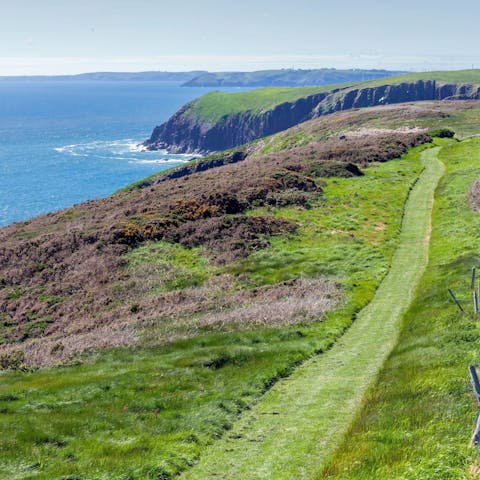 Soak up the stunning scenery from the Pembrokeshire Coastal Path