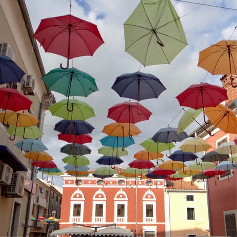 Drive to Novigrad known for its colourful houses and harbour