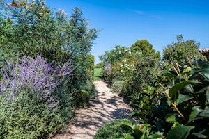 Garden Rest image 9